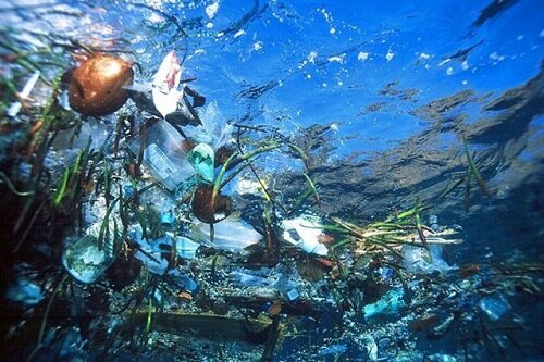 мусор в тихом океане