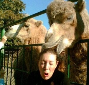 Интересные факты о поцелуях Интересные факты о поцелуях