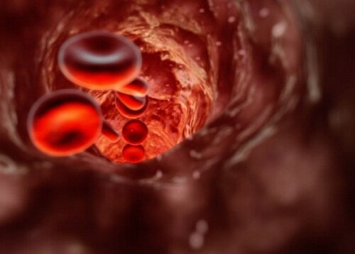 кровеносные клетки