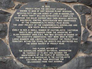 памятник моли