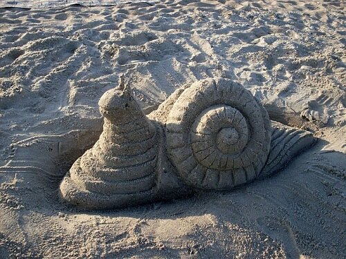 раковина по часовой стрелке