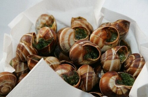 большие улитки - деликатес