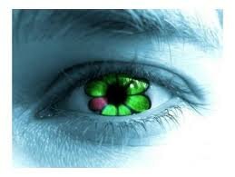 Интернет-общение