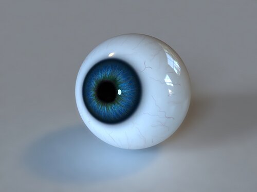 глазное яблоко