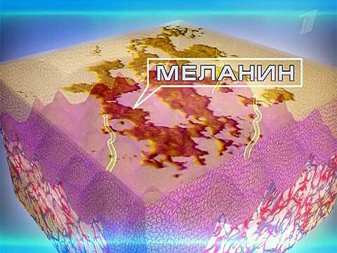 меланин графически