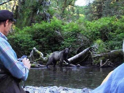 черный медведь и охотники