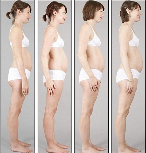 пузико растет