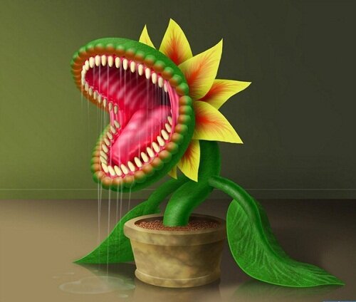 хищные растения
