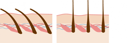 Волосы дыбом фото