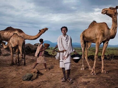 Верблюжье молоко