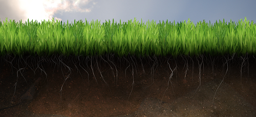 Плодородная почва