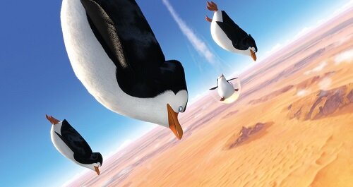 Пингвины летали