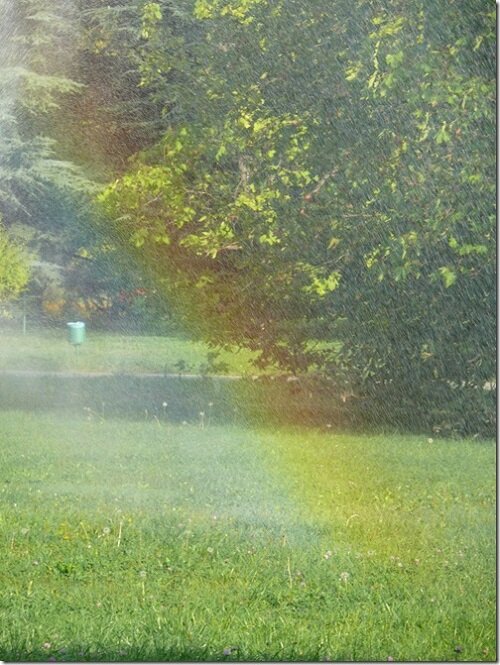 Радуга-дуга