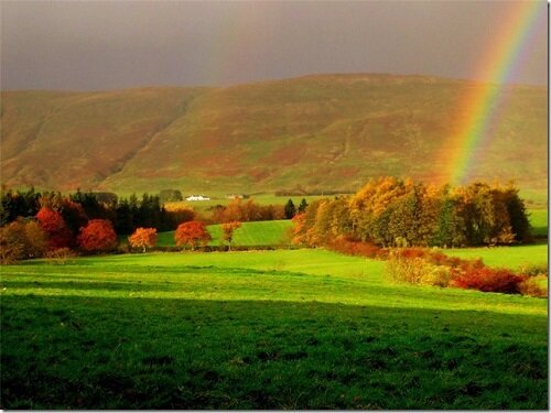 Радуга в поле