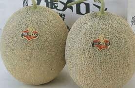 Дыня дорогая