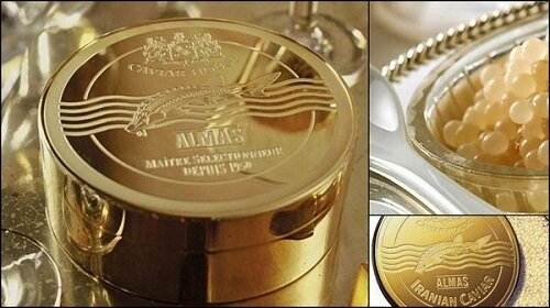 икра альбиноса в банке