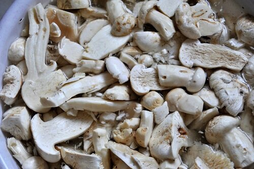 мацутакэ дорогой гриб