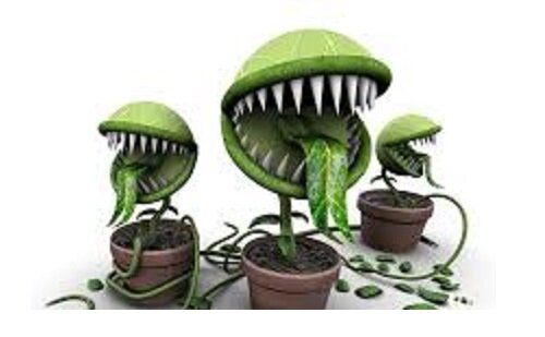 ядовитые растения